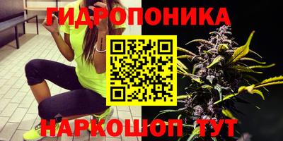 гидропоника Кулебаки