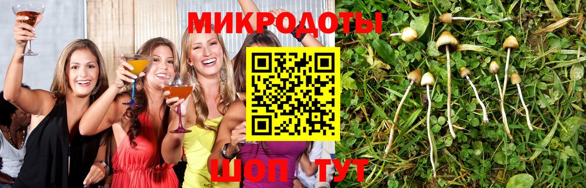 Жуковский  Галлюциногенные грибы GOLDEN TEACHER  Вход с VPN 