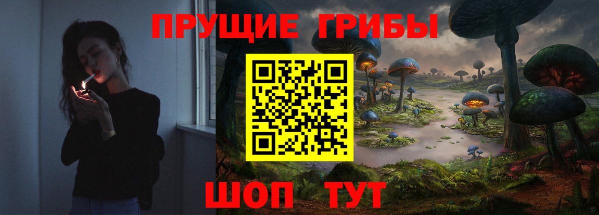 Псилоцибиновые грибы Psilocybine cubensis Жуковский