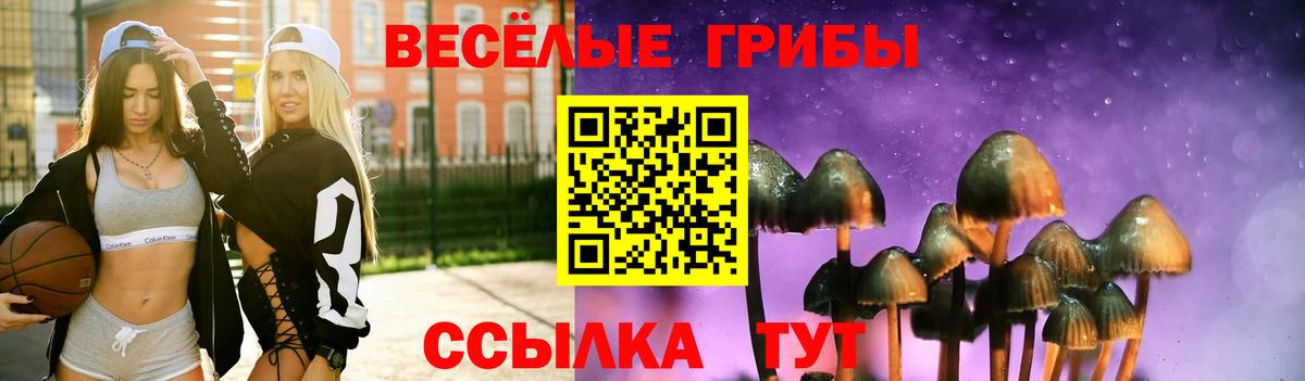 ГАШ  А ПВП СОЛЬ кристаллы  Купить наркотик  ГАШИШ  Жуковский  Мефедрон   Вход с VPN  Конопля 
