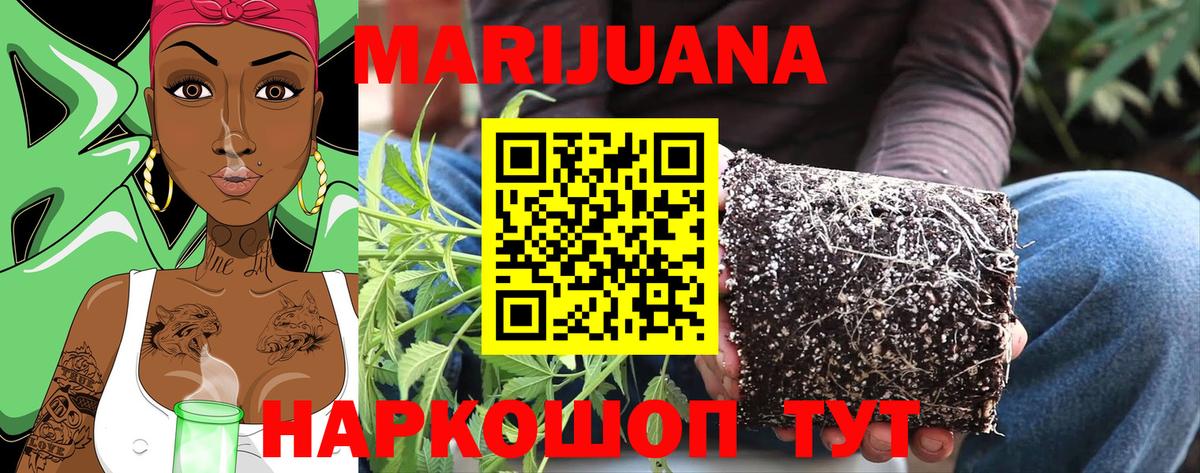 Жуковский  Каннабис Bruce Banner  Вход с VPN  Шишки марихуана SATIVA & INDICA 